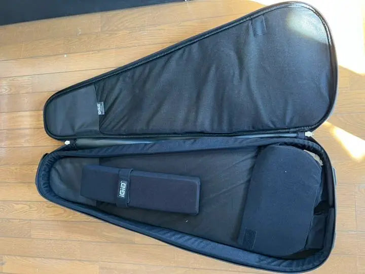 IGIG guitar case | IGIG ギター用ケース