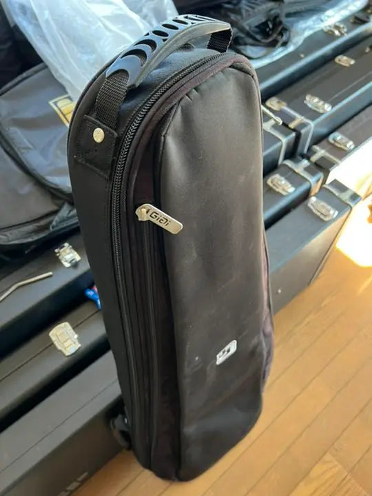 IGIG guitar case | IGIG ギター用ケース