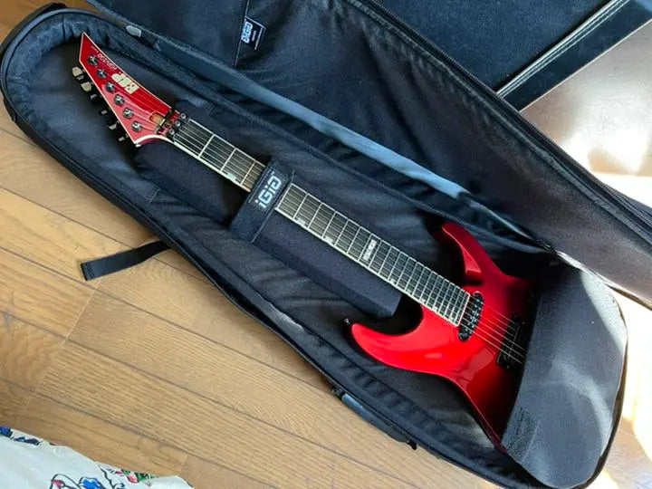 IGIG guitar case | IGIG ギター用ケース