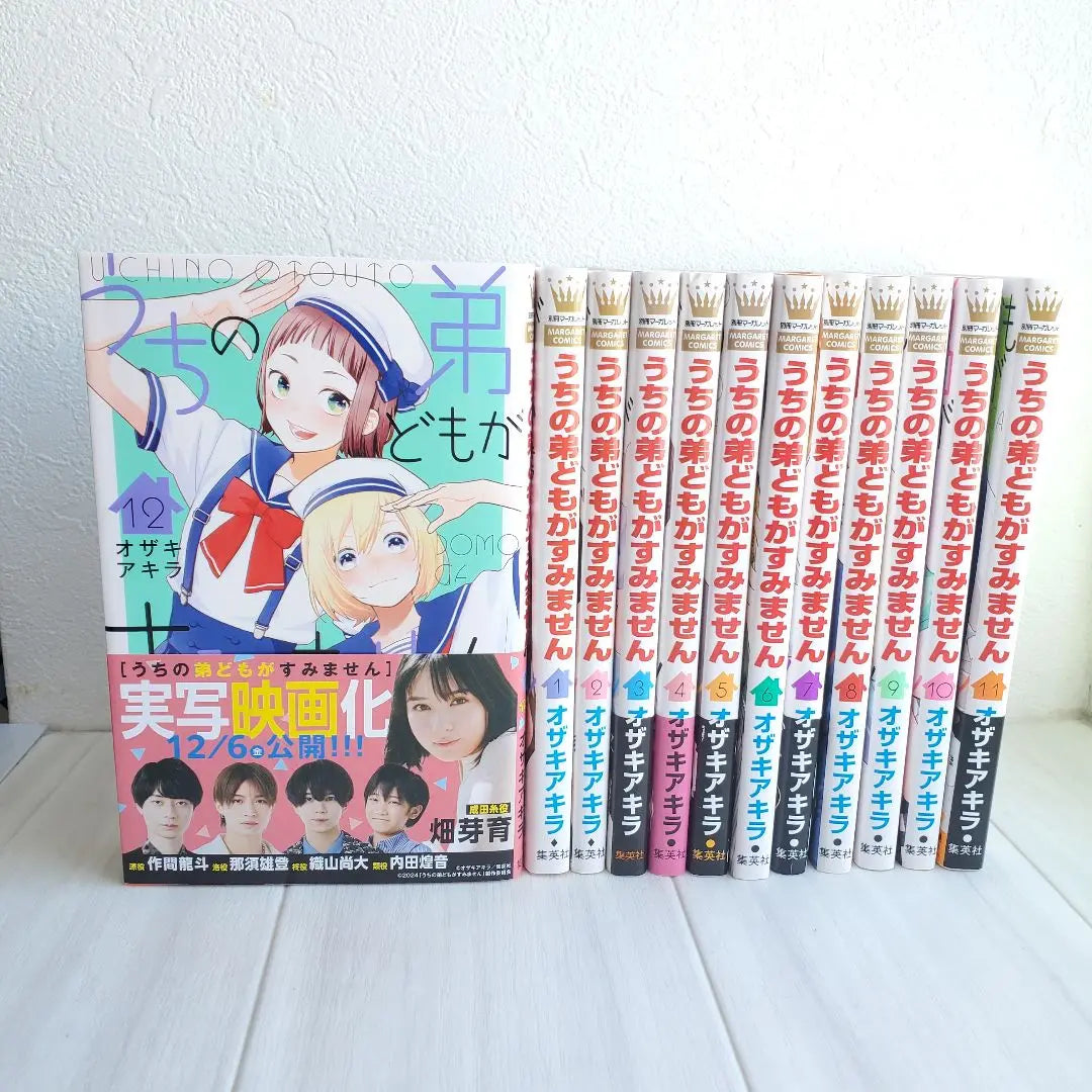 Sorry to my brothers Volumes 1-12, Women's Bulk Sale Ozaki Akira Manga