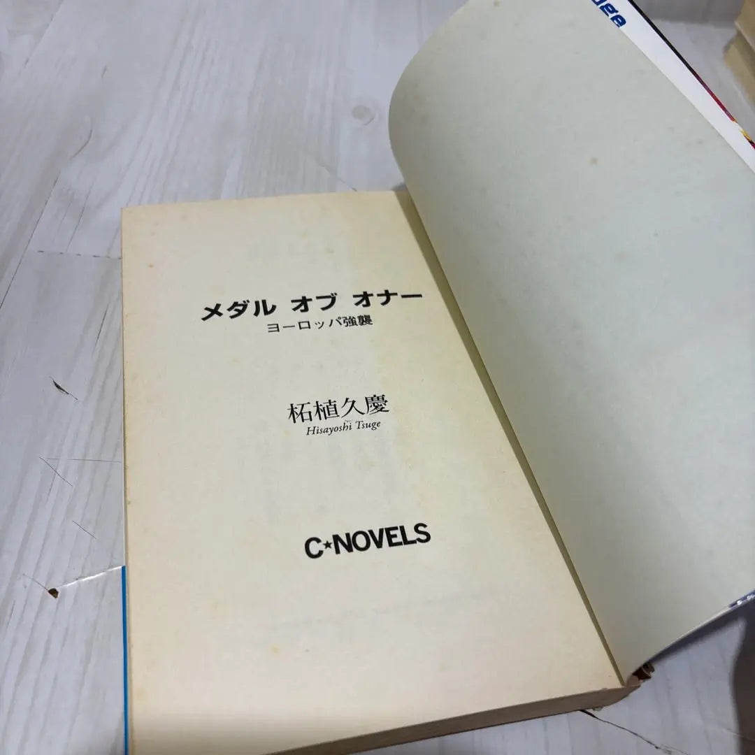 Tsuge Hikuke 33 Venta al por mayor Haruki Bunko, Harukinovels, C • Novelas, Kadokawa Bunko, etc.