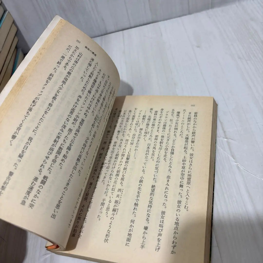 Tsuge Hikuke 33 Bulk Sell Haruki Bunko, Harukinovels, C • Novels, Kadokawa Bunko, etc.