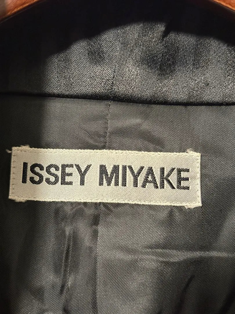 Chaqueta de rayas entallada Issey Miyake 95AW