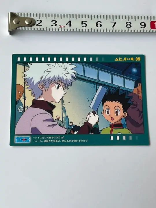 Rare item HUNTER x HUNTER Carddas Masters Killua Gon