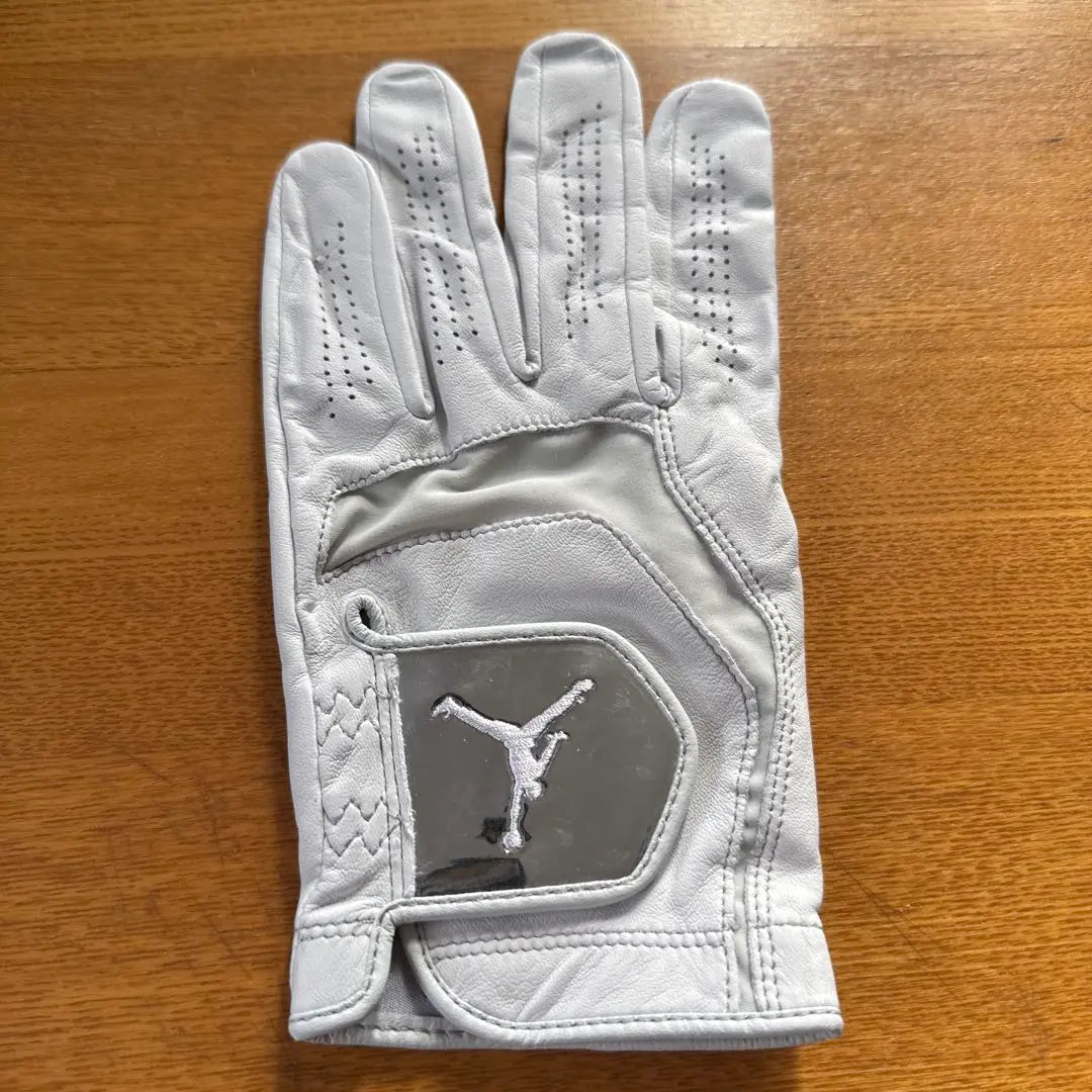 New ⭐︎Golf Men's Gloves XL★Jordan Golf Gloves for Left Hand JORDAN