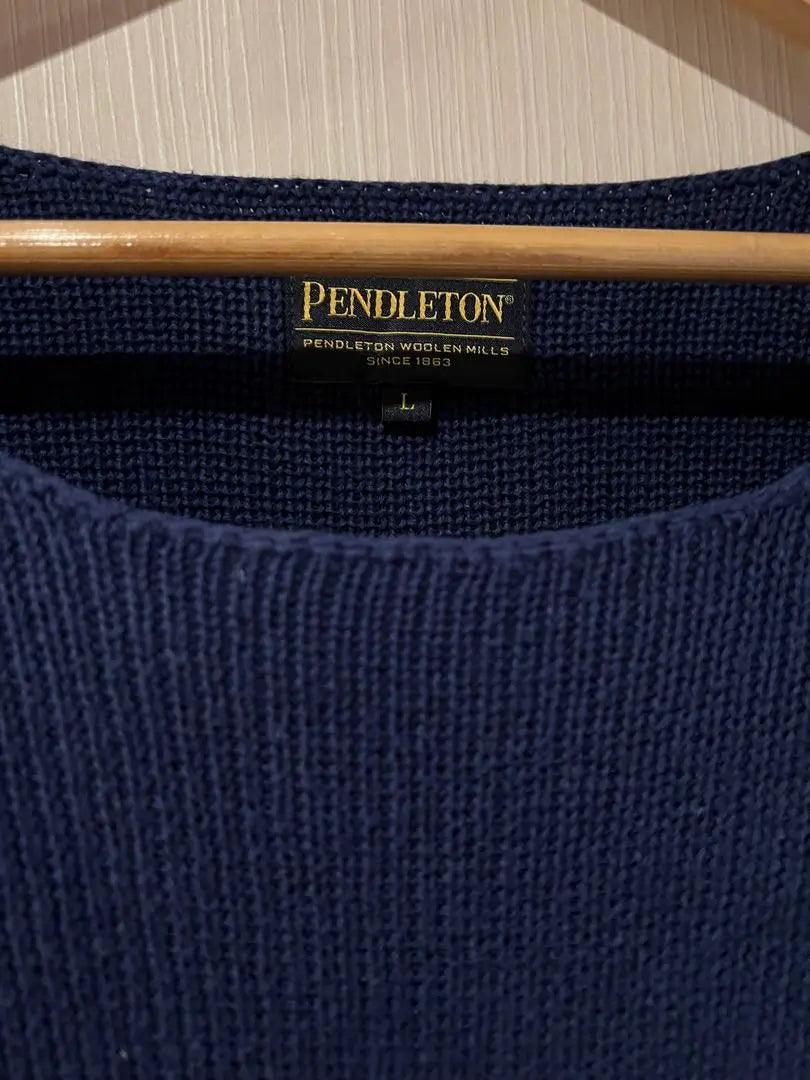 In good condition! Pendleton Short-sleeved knit 100% cotton