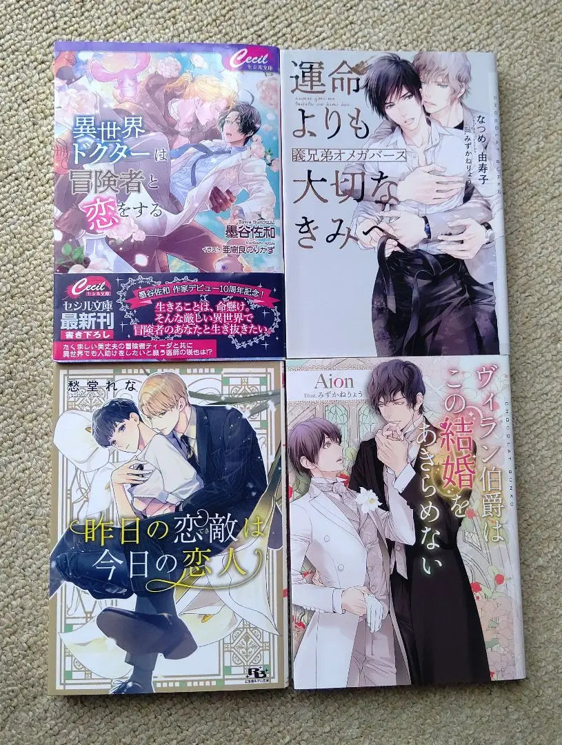 BL Novel Sumitani Sawa Natsume Yuuko Shoudou Rena Aion