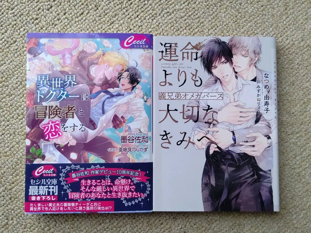 BL Novela Sumitani Sawa Natsume Yuuko Shoudou Rena Aion