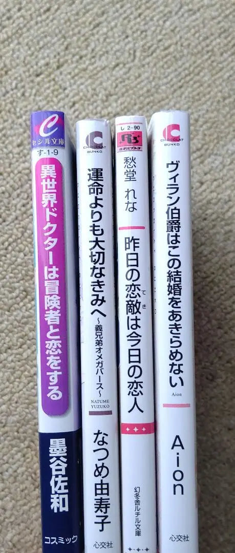 BL Novel Sumitani Sawa Natsume Yuuko Shoudou Rena Aion