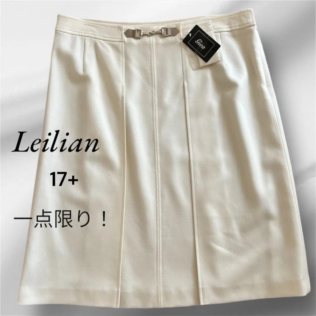 ✨ Brand new and unused✨Leilian 17+ Bit Charm Skirt