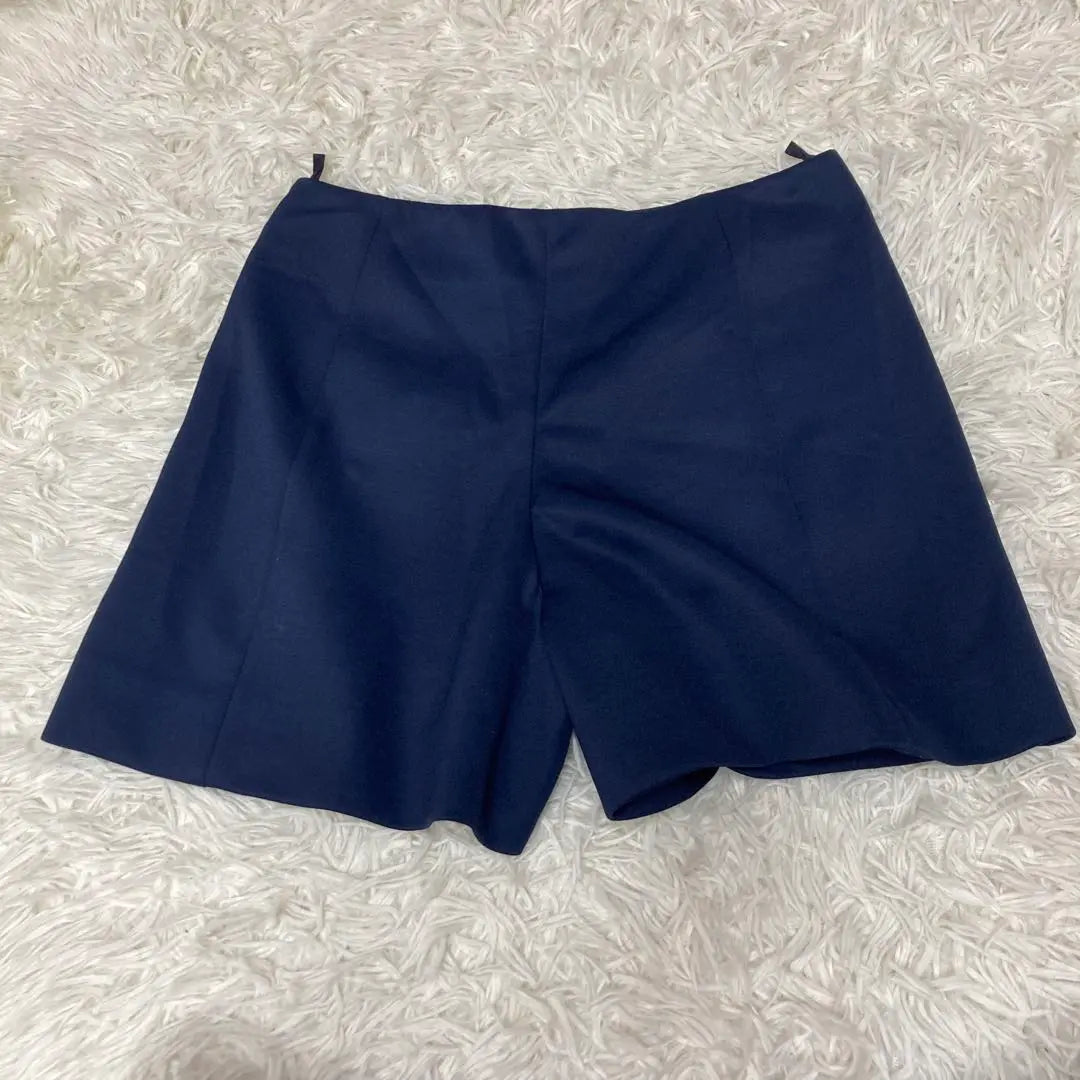 ✨ PRADA ✨ Prada Shorts Navy Metal Fitting Size S