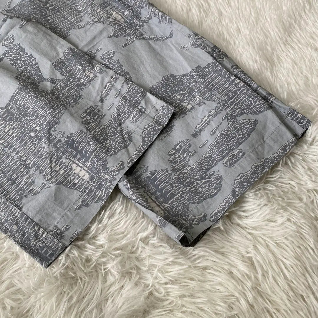 [Nueva etiqueta incluida] DIESEL P-FERGY-E Pantalón con estampado integral 46 gris