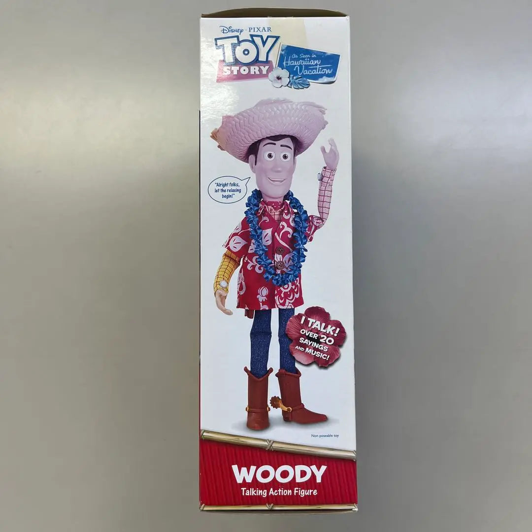 TOY STORY Vacaciones en Hawai Woody Jesse Set Raro