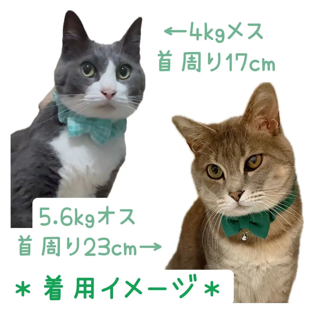 Collar de gato * Hecho a mano * Shush ☆ 851 | 猫の首輪＊ハンドメイド＊シュシュ☆851