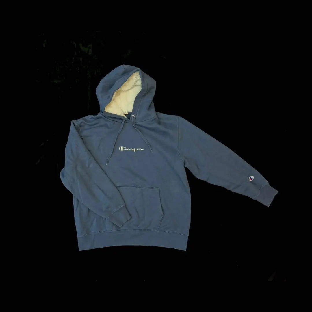 Champion hoodie