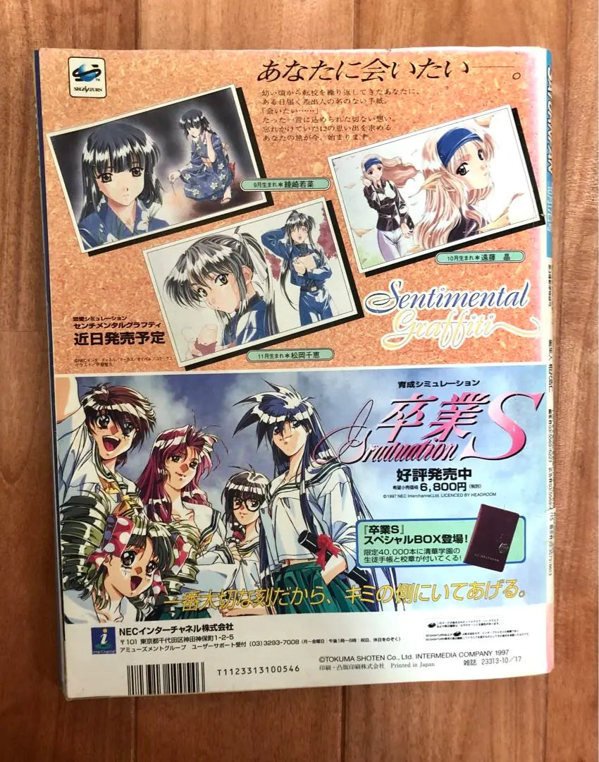 Revista semanal Sega Saturn Cada dos semanas Revista Dengeki Sega Saturn