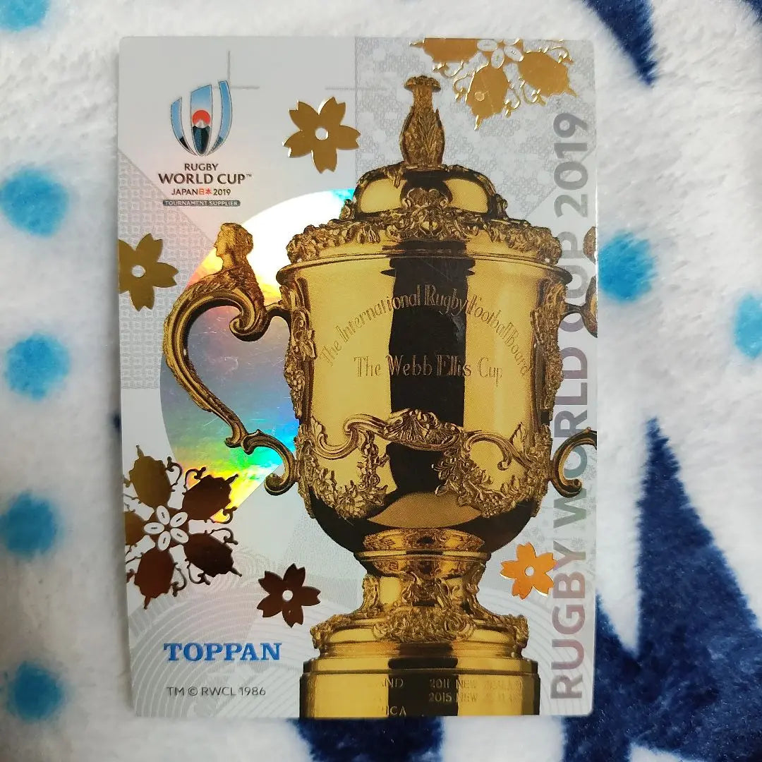 Tarjeta de la Copa Mundial de Rugby 2019 de Sudáfrica