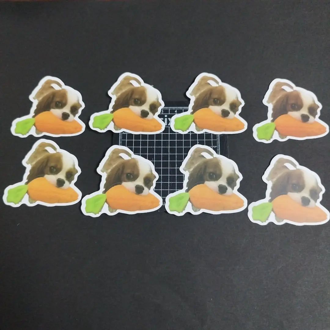 [Not waterproof] Cavaliers King Charles Spaniel Dog Sticker Seal