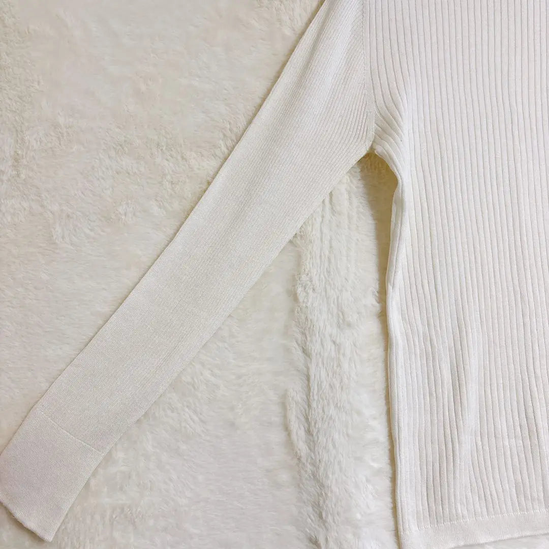 1636 Inedo Turtleneck Knit Cut and Sew Thin 9 Ivory