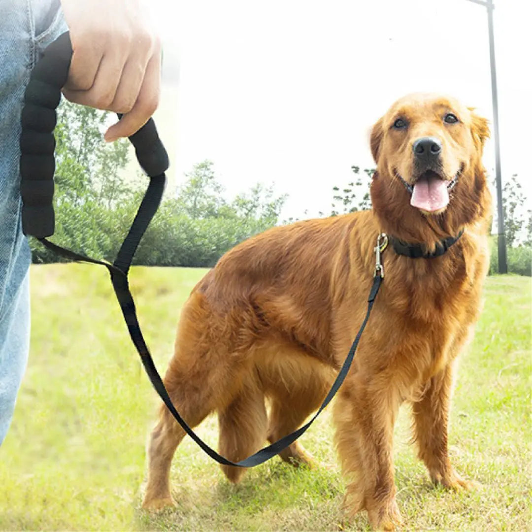 Correa para perros 15 m roja Correa acolchada para la mano Correa acolchada para 15 m 1 | 犬 リード 15m 赤 持ち手クッション付き リード15mクッション1