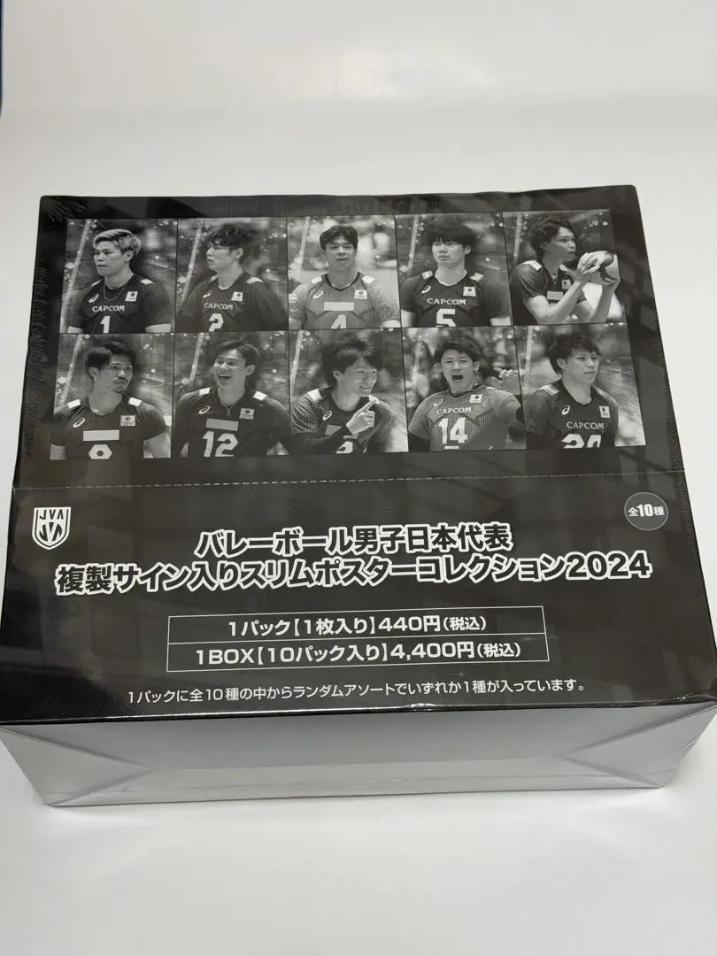 Japanese men's volleyball team replica signed slim poster collection 2024