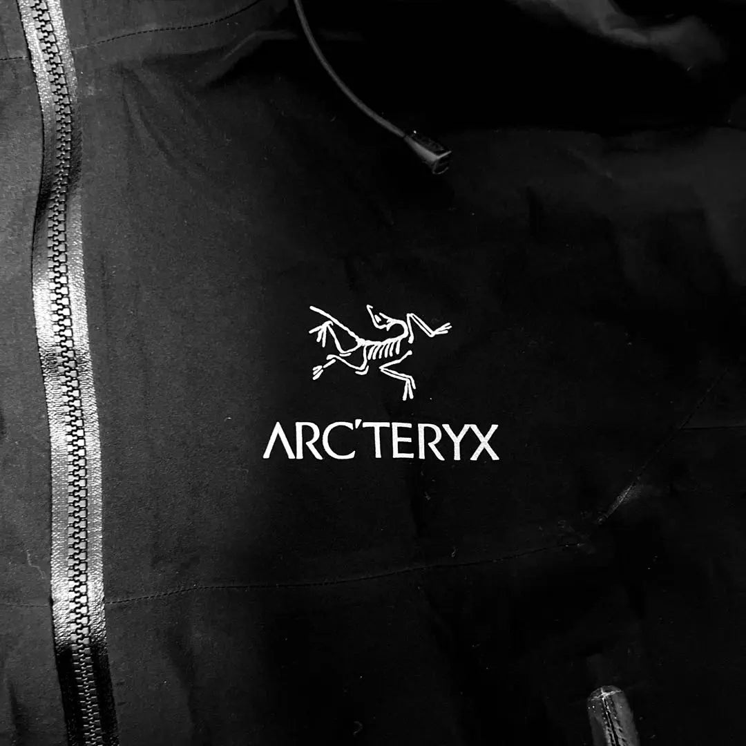 Arc'teryx Mountain Parka