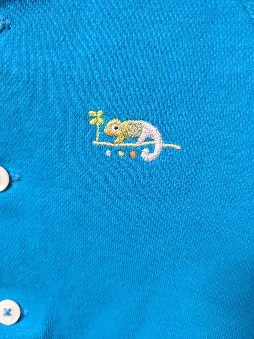 Familia Cardigan 80 Light Blue Embroidered Chameleon