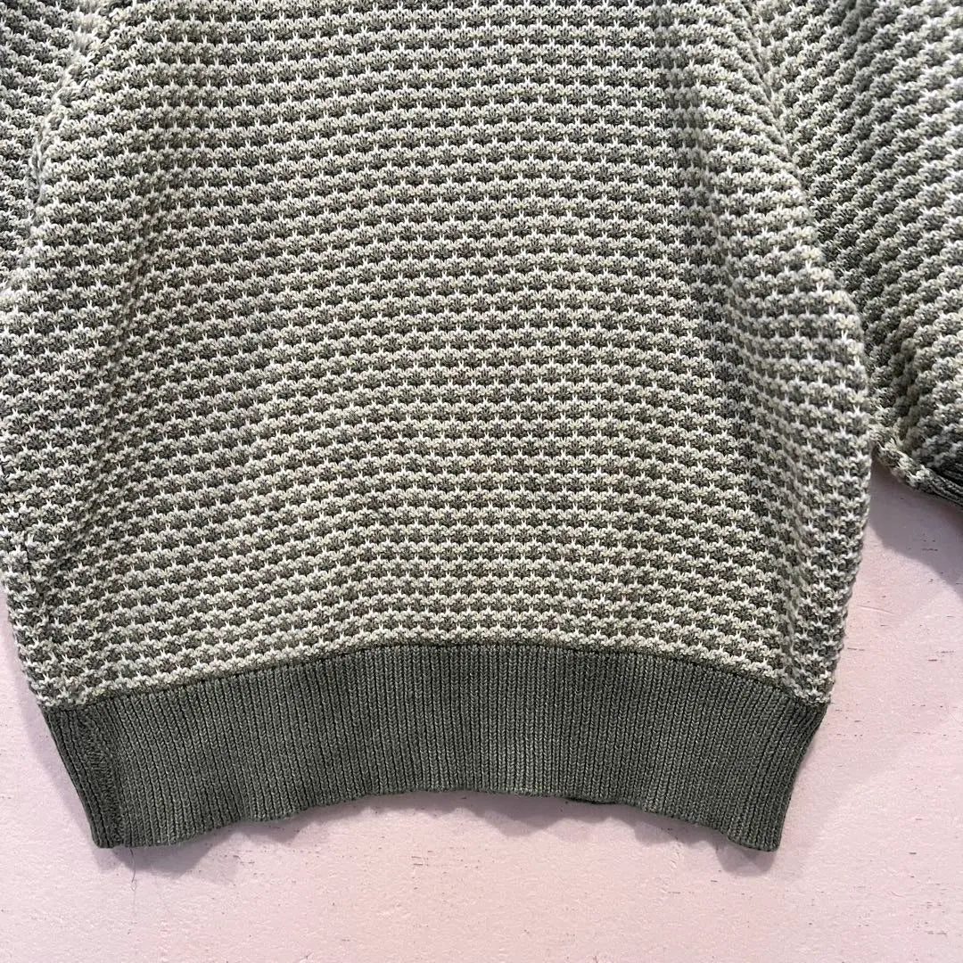 1127 [EMS EMSEXCITE] Short Sleeve Knit F Pattern -pattern Green Puff Sleeve