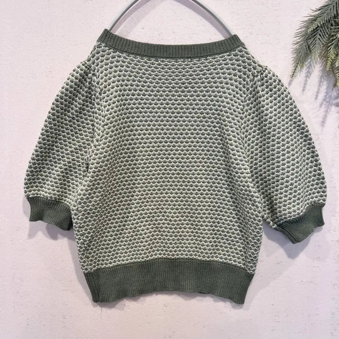 1127 [EMS EMSEXCITE] Short Sleeve Knit F Pattern -pattern Green Puff Sleeve