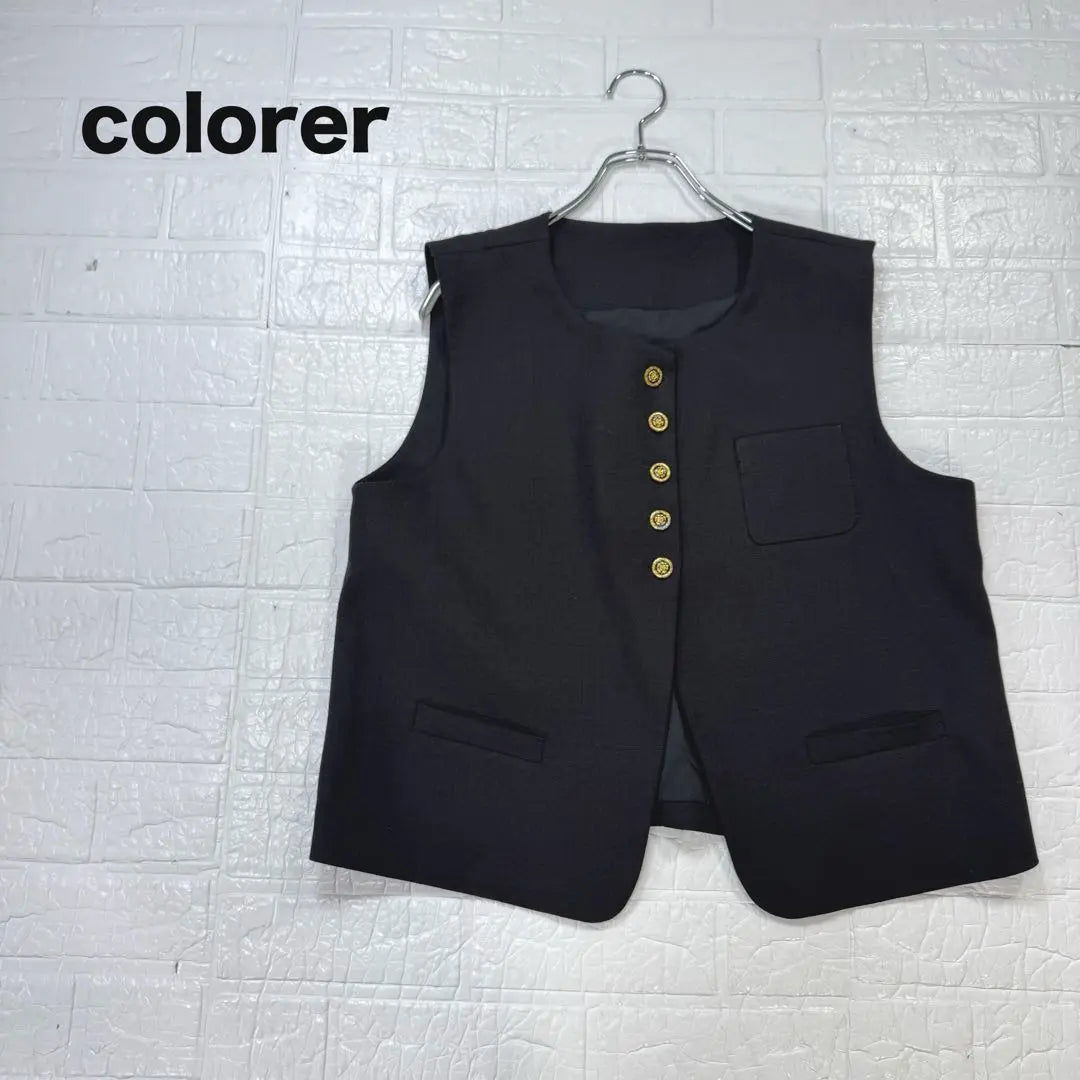 Beautiful colorer chlorer tweed vest gold button black