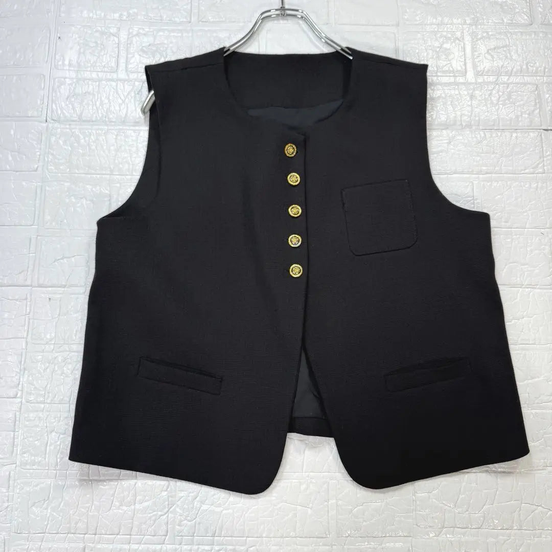 Beautiful colorer chlorer tweed vest gold button black