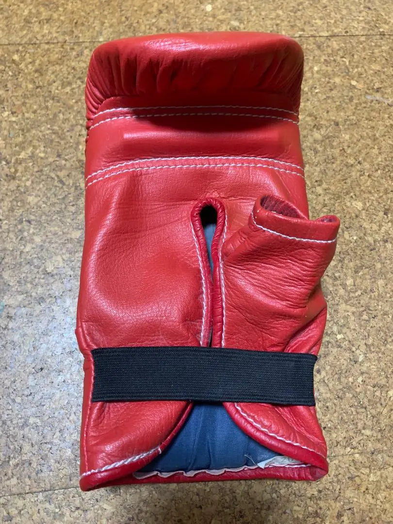 Winning Punching Gloves (signed by Uchiyama Takashi and Kono Kohei)