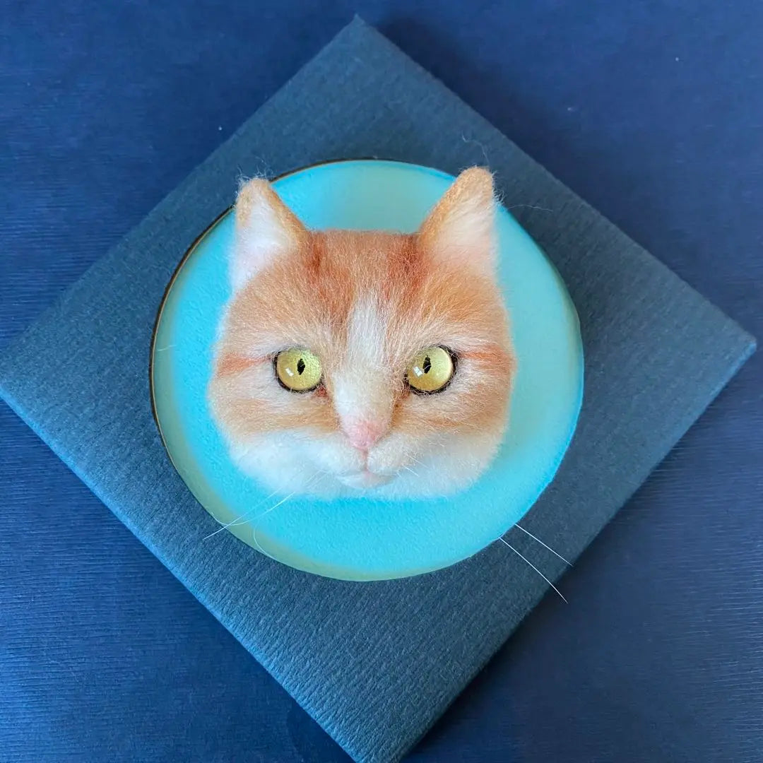 Broche de gato de fieltro de lana, un simpático munchkin