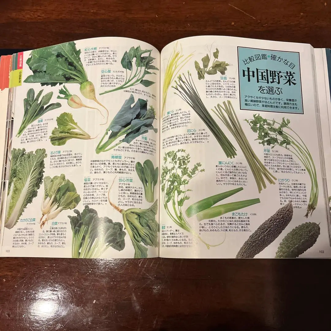 Cookbook: Vegetables