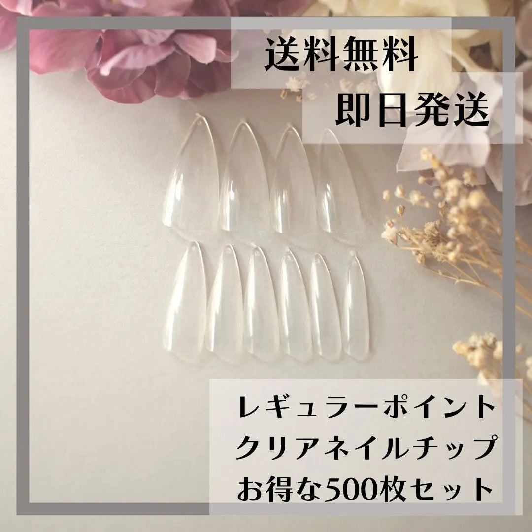 Regular Point Droplet-shaped Almond-shaped Clear Nail Tip Set of 500