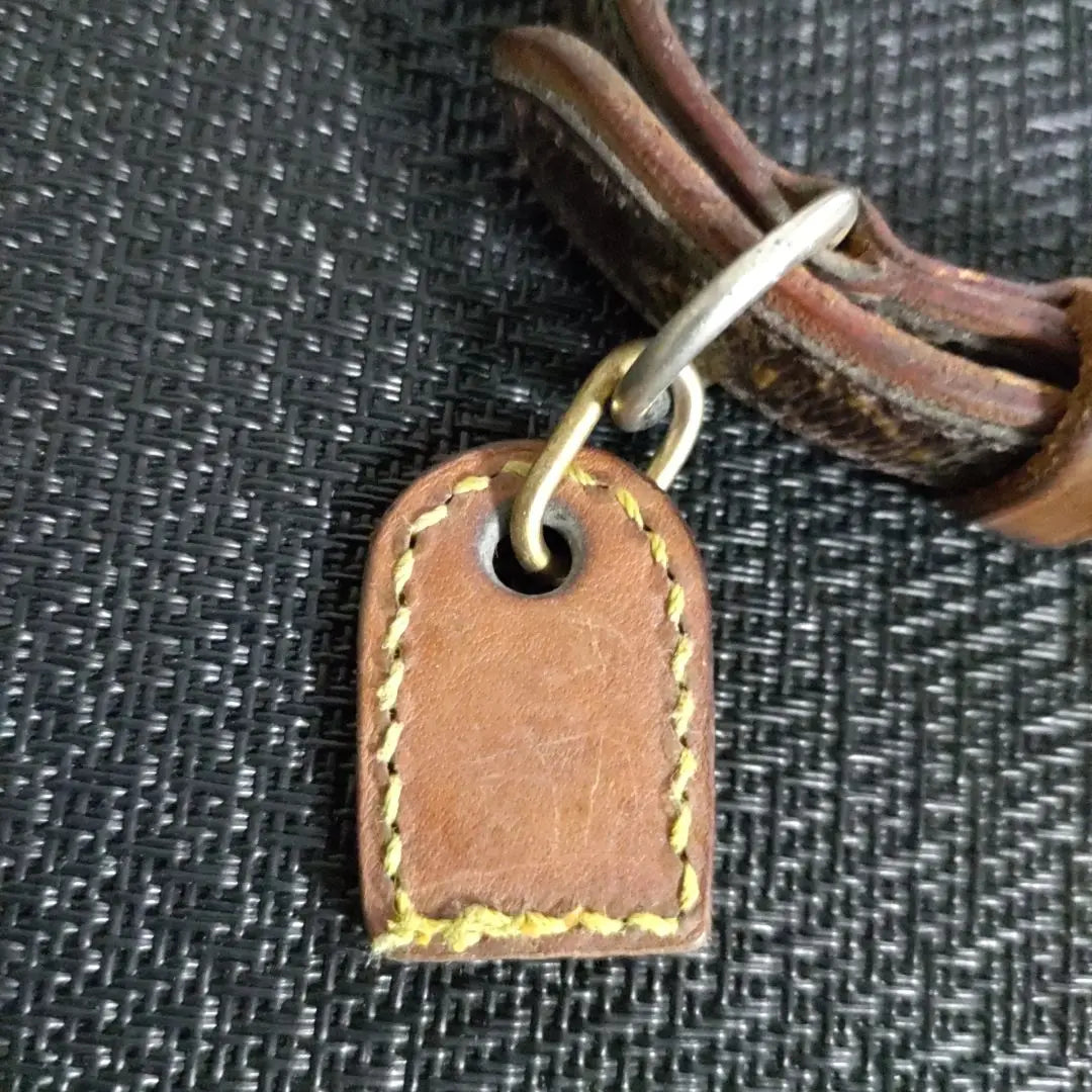 LOUIS VUITTON Louis Vuitton Monogram Dog Collar Charm included