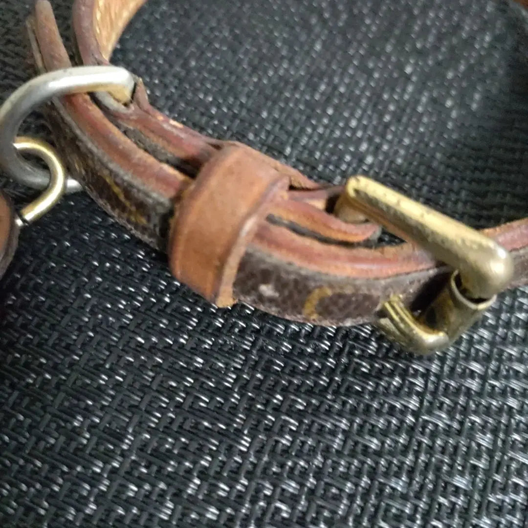 LOUIS VUITTON Louis Vuitton Monogram Dog Collar Charm included