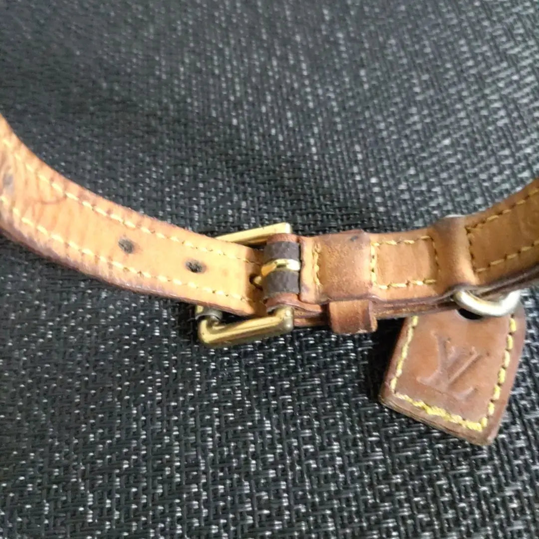 LOUIS VUITTON Louis Vuitton Monogram Dog Collar Charm included