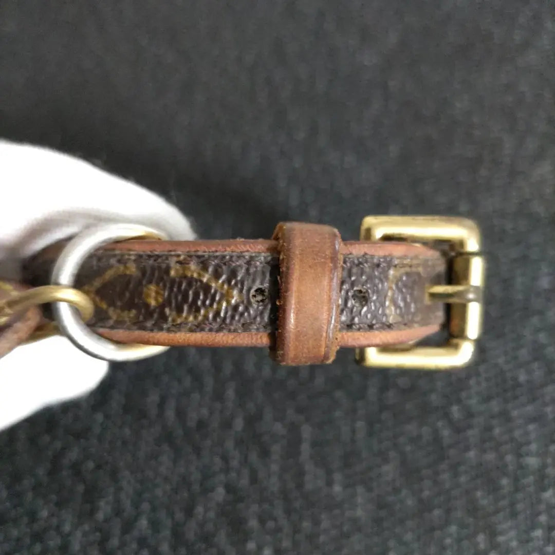 LOUIS VUITTON Louis Vuitton Monogram Dog Collar Charm included