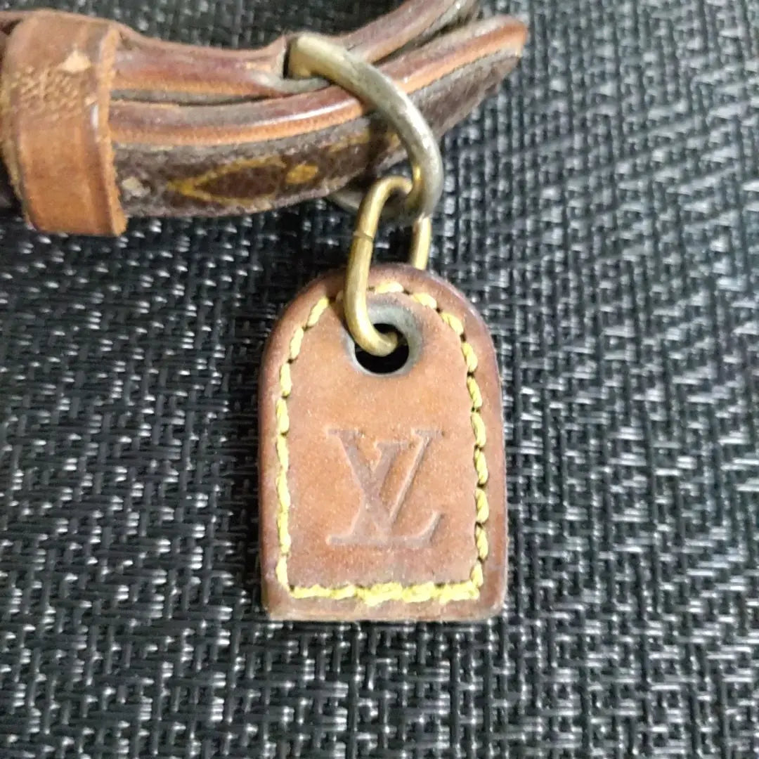 LOUIS VUITTON Louis Vuitton Monogram Dog Collar Charm included