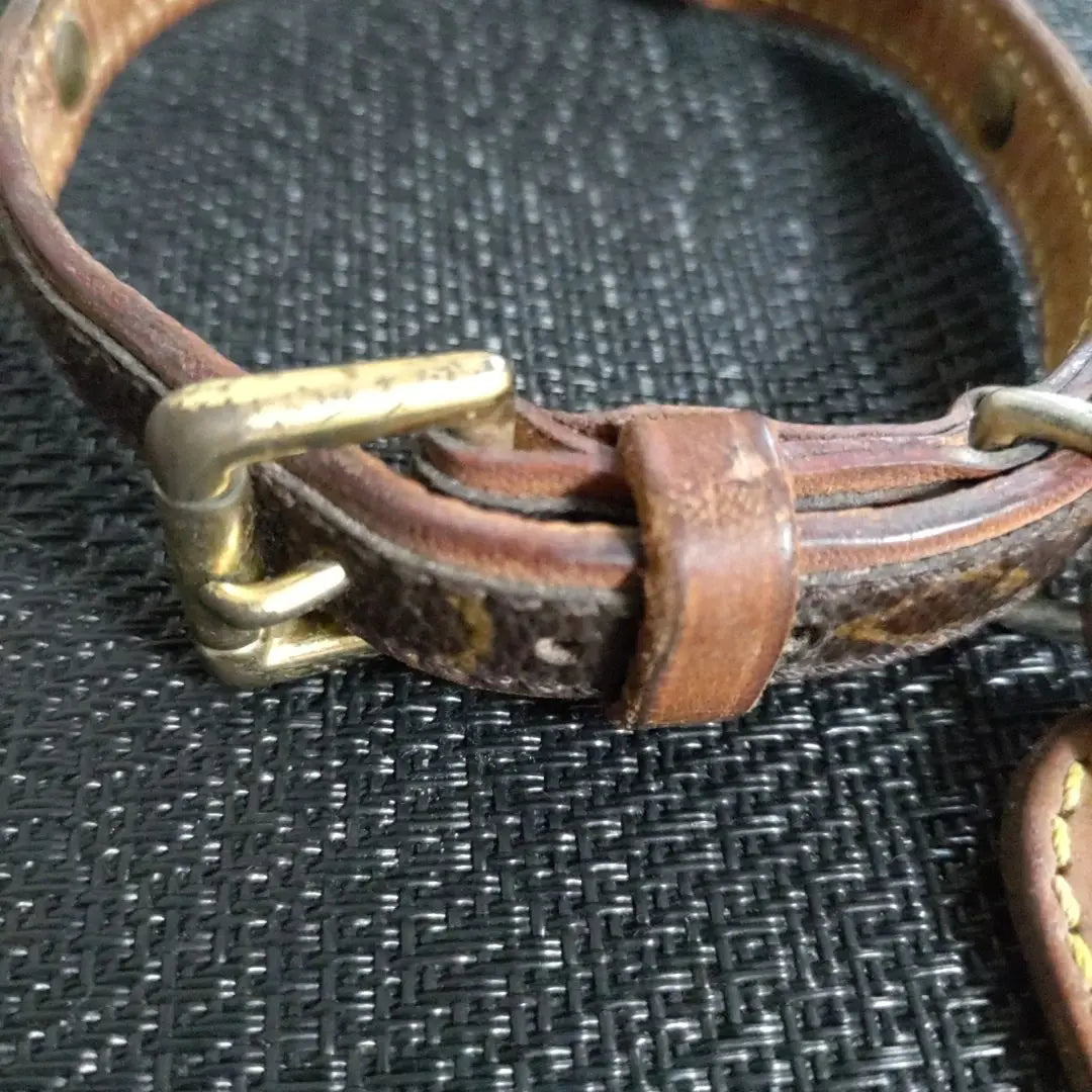 LOUIS VUITTON Louis Vuitton Monogram Dog Collar Charm included