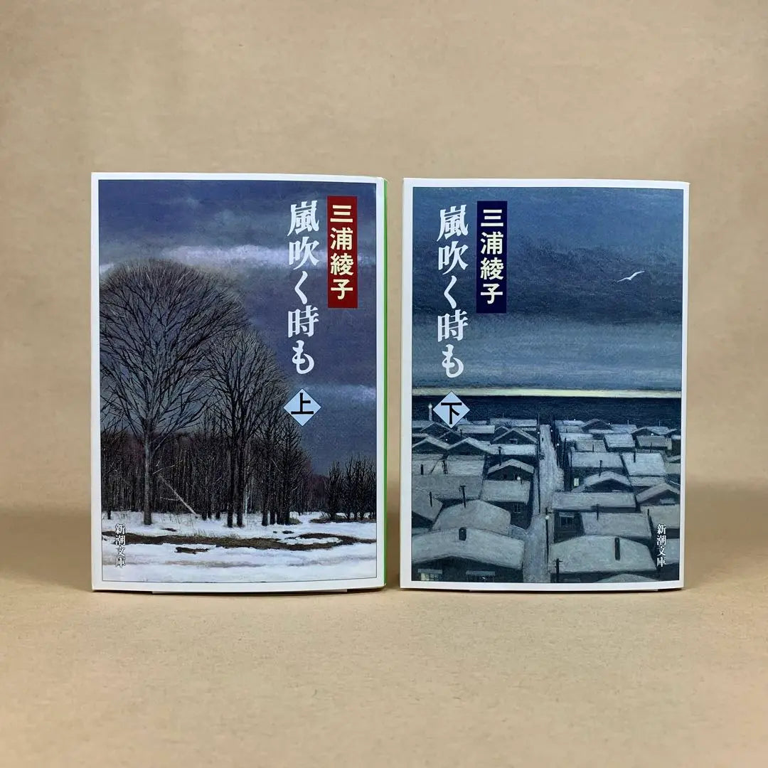 Even when the Storm Blows, Top and Bottom, Miura Ayako, two paperback set