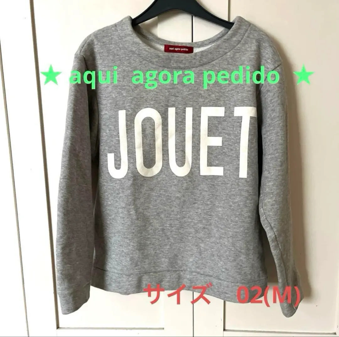 ★ aqui agora pedido sweatshirt (fleeved lining)