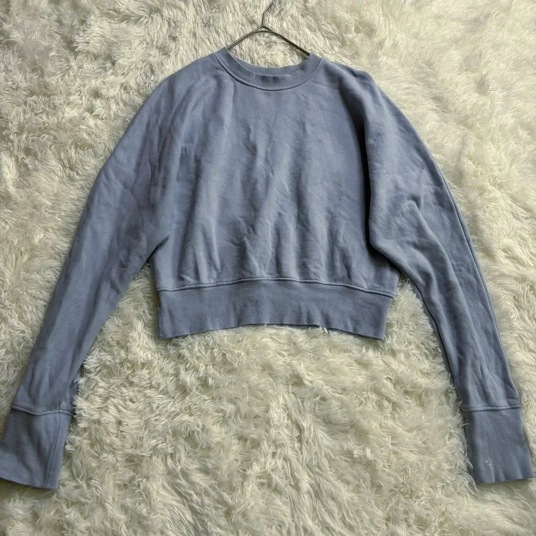 Style Mixer Long Sleeve Sweatshirt Short Length Blue Cotton Sweatshirt 2128