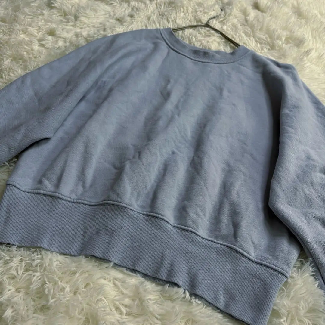 Style Mixer Long Sleeve Sweatshirt Short Length Blue Cotton Sweatshirt 2128