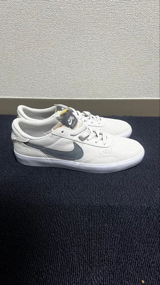 NIKE Skateboard Mens Sneakers Shoes Skateboard Suede Low Cut