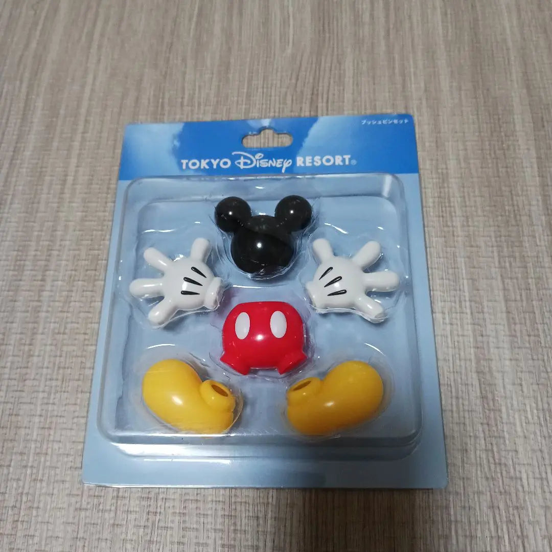 Tokyo Disney Resort Accessories Set of 5