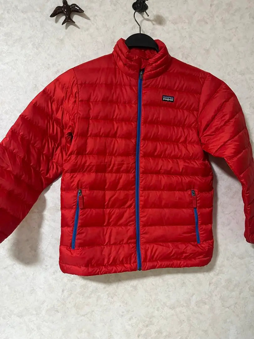 Patagonia Down Final Price Low