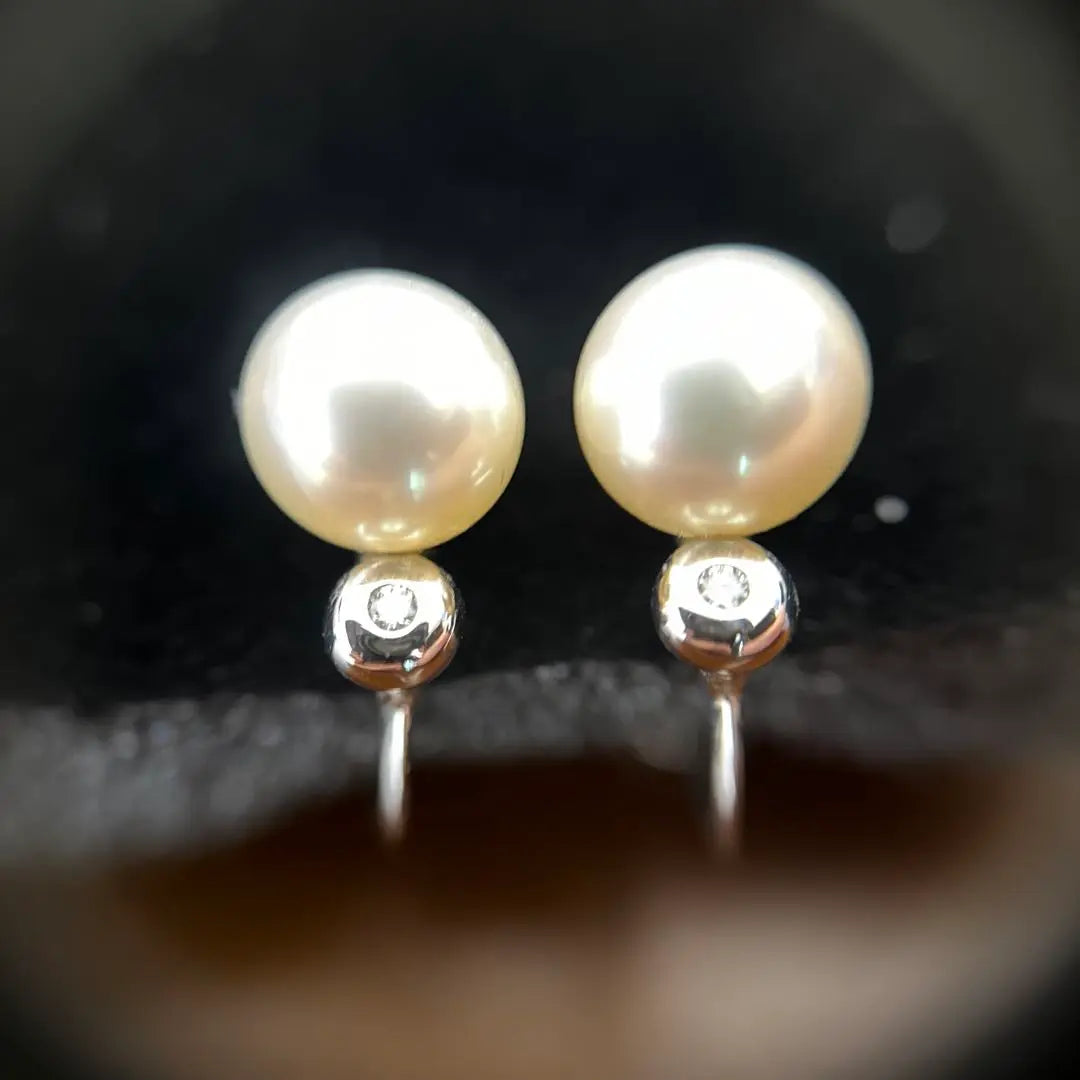 Tazaki TASAKI Pearl Earring Akoya K14WG Pearl