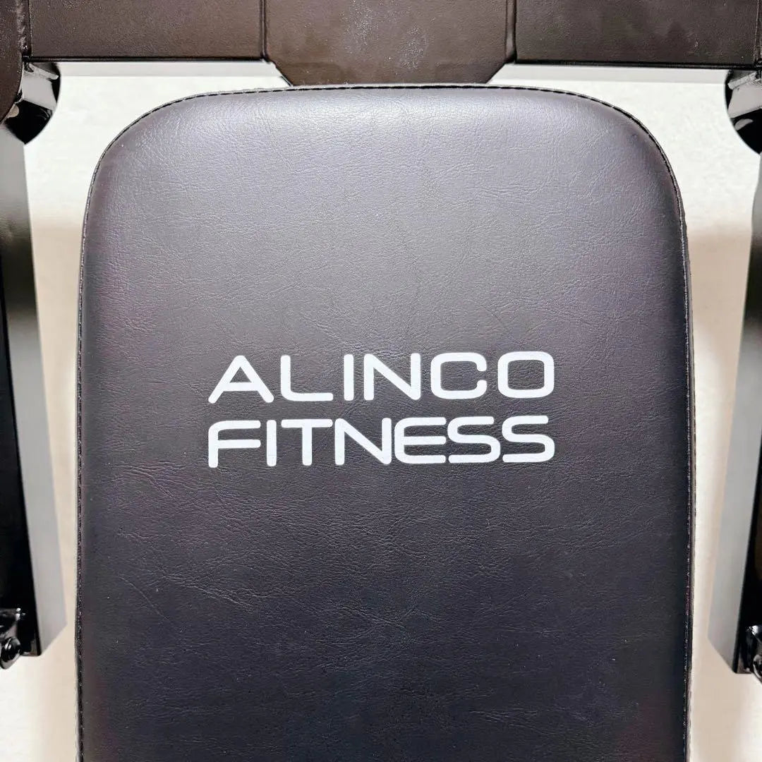 Good condition ALINCO Multi-Workout Gym Home Gym Hydraulic